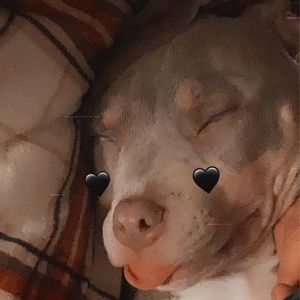 Meet your Posher, Ash